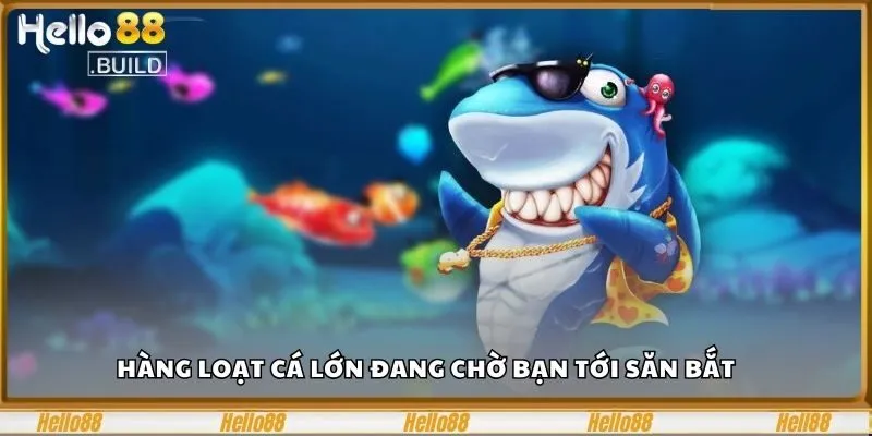 Vào BG Bắn Cá Săn Thưởng 1000x Trong Đại Dương Huyền Bí 1 Hàng loạt cá lớn đang chờ bạn tới săn bắt