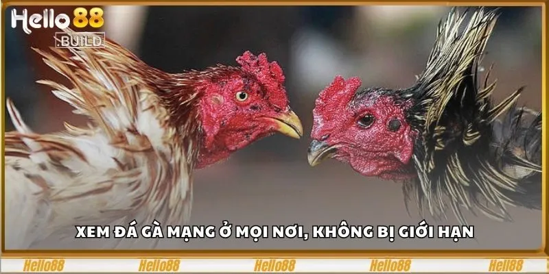 Đá Gà Mạng Ở Hello88 - 5 Phút Đốt Cháy Đam Mê Cực Đỉnh 1 Xem đá gà mạng ở mọi nơi, không bị giới hạn
