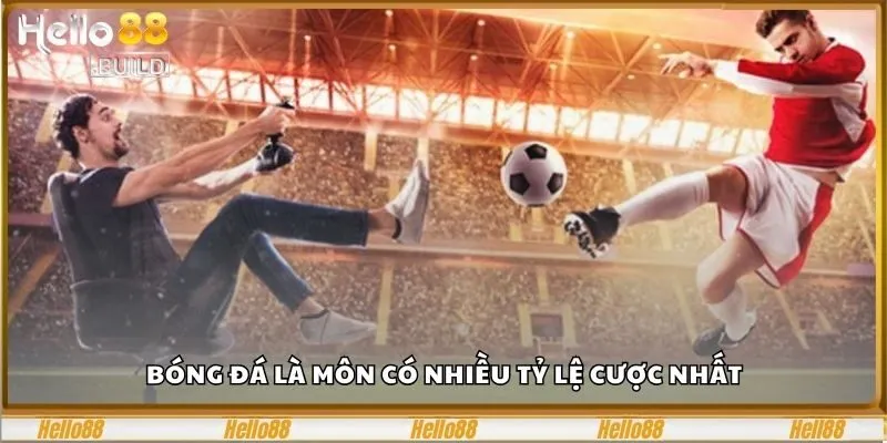 Kèo Nhà Cái Là Gì? Tuyệt Chiêu Săn Mọi Loại Kèo Chuẩn 2 Bóng đá là môn có nhiều tỷ lệ cược nhất