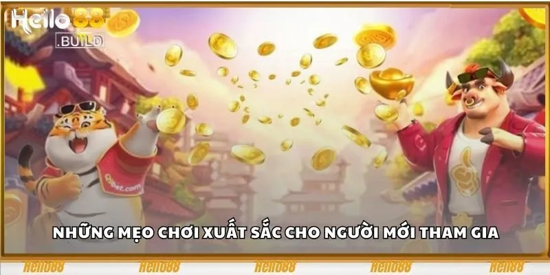 Mẹo Chơi Nổ Hũ Hello88 – Bí Kíp Của Cao Thủ Mà Bạn Chưa Biết 2 Những mẹo chơi xuất sắc cho người mới tham gia
